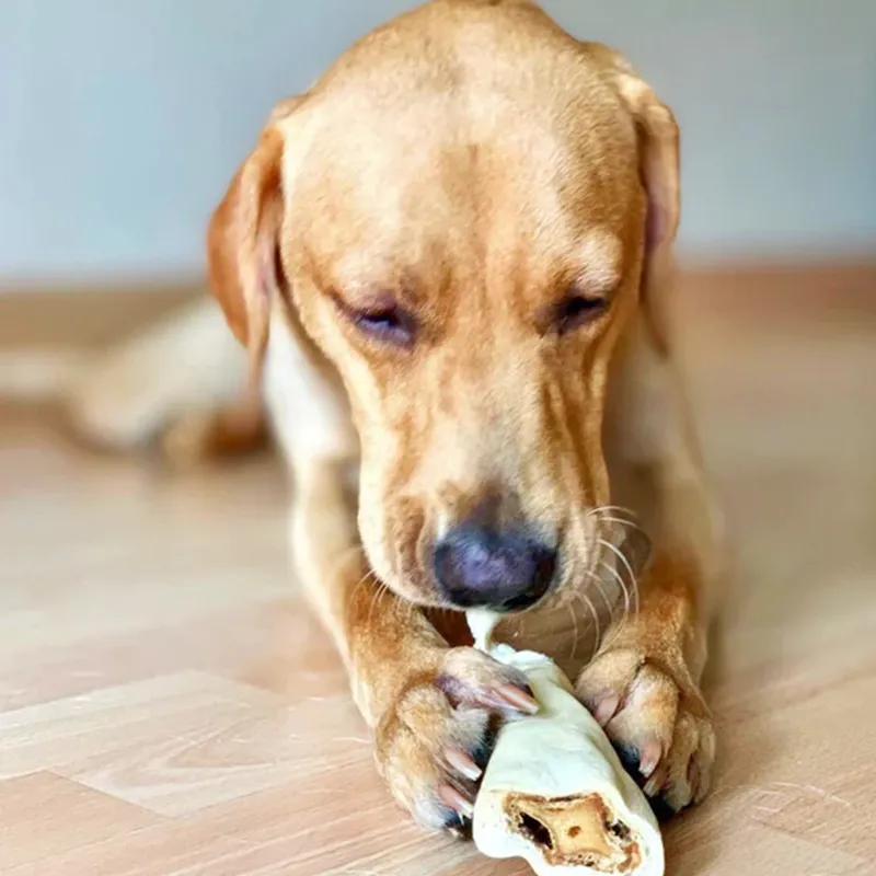 JR Pet Products Jumbo Beef Tail-1